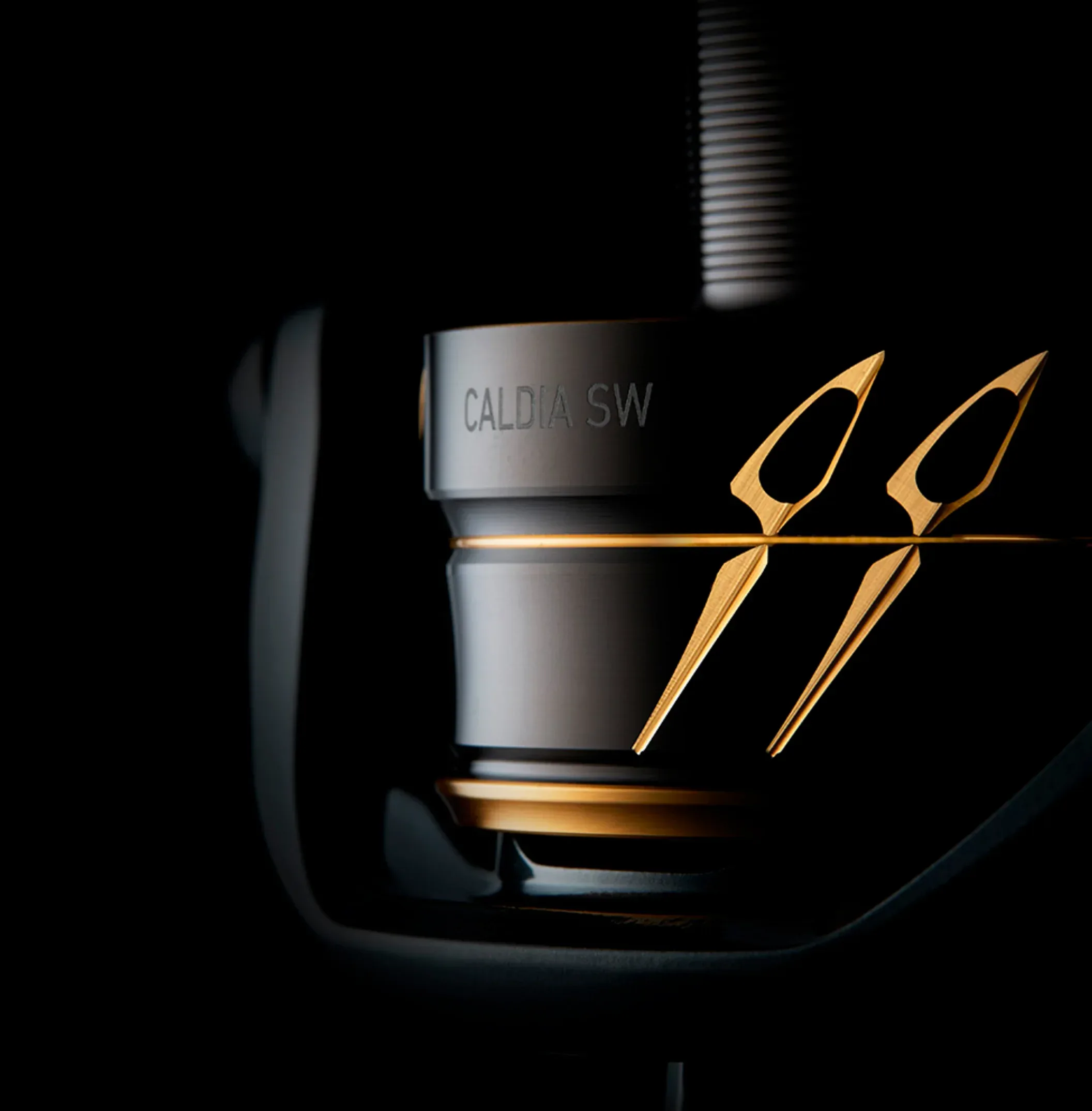 Daiwa 22 Caldia SW avokela - Image 3