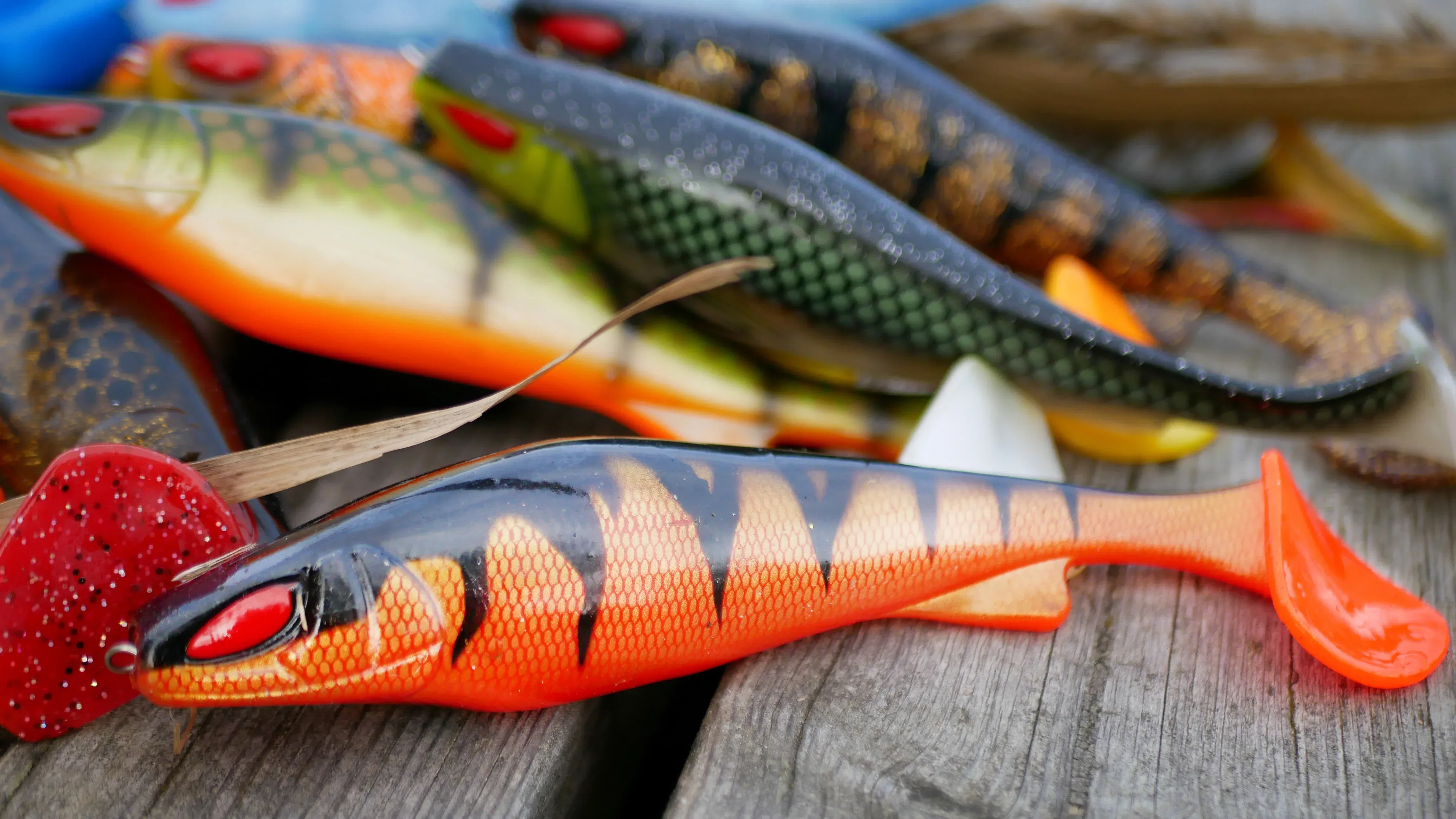 Daiwa Prorex Lazy Shad 16 cm - Image 4