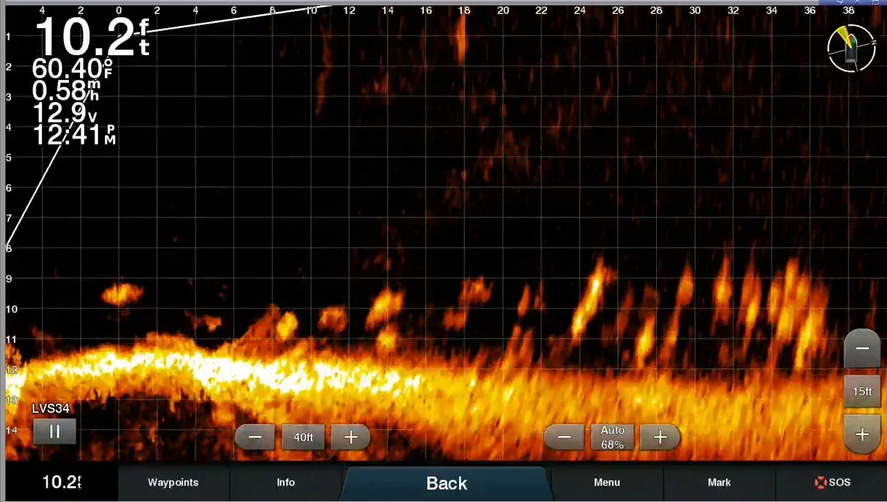 Garmin LiveScope Plus LVS34 anturi - Image 10