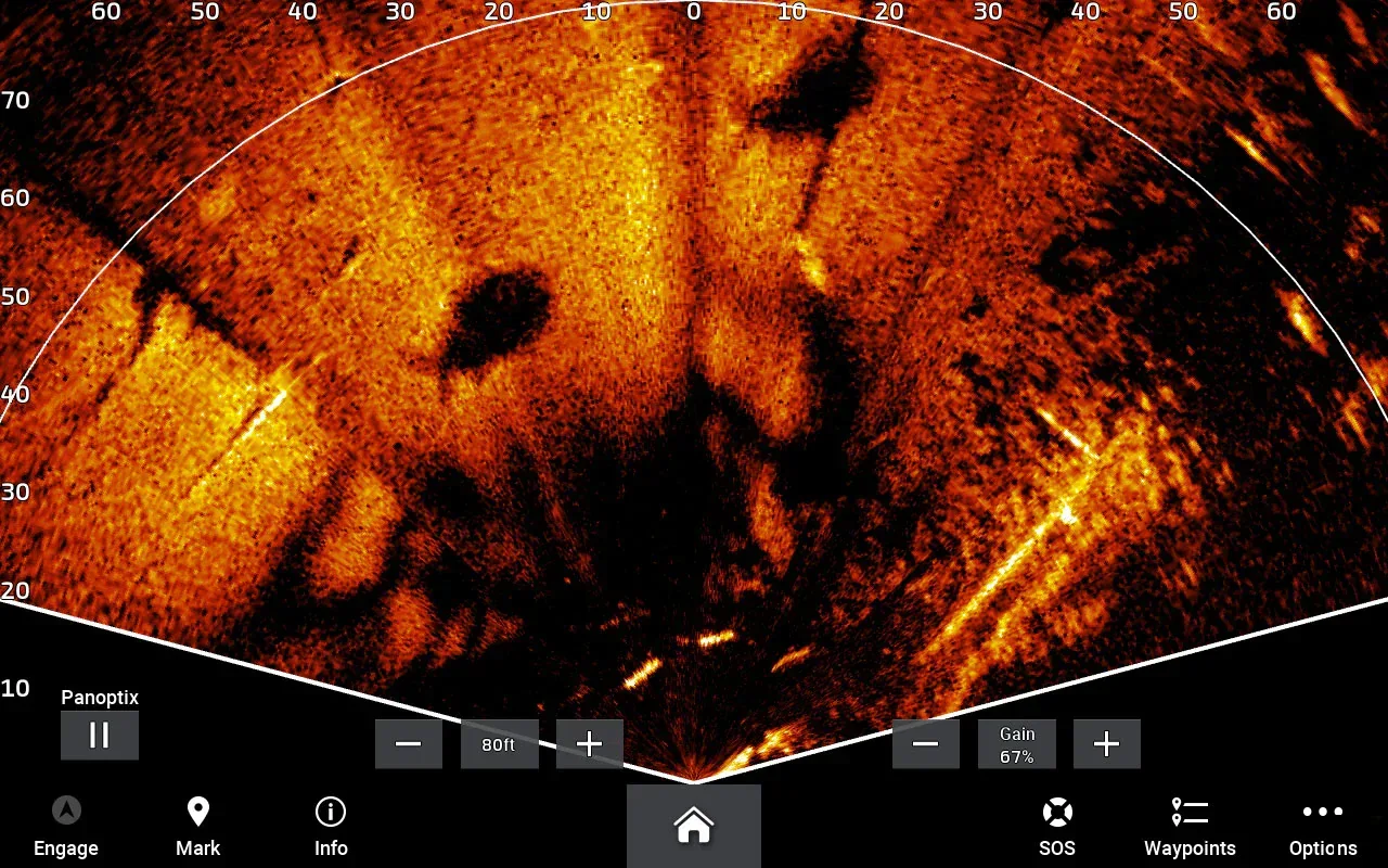 Garmin LiveScope Plus LVS34 anturi - Image 6