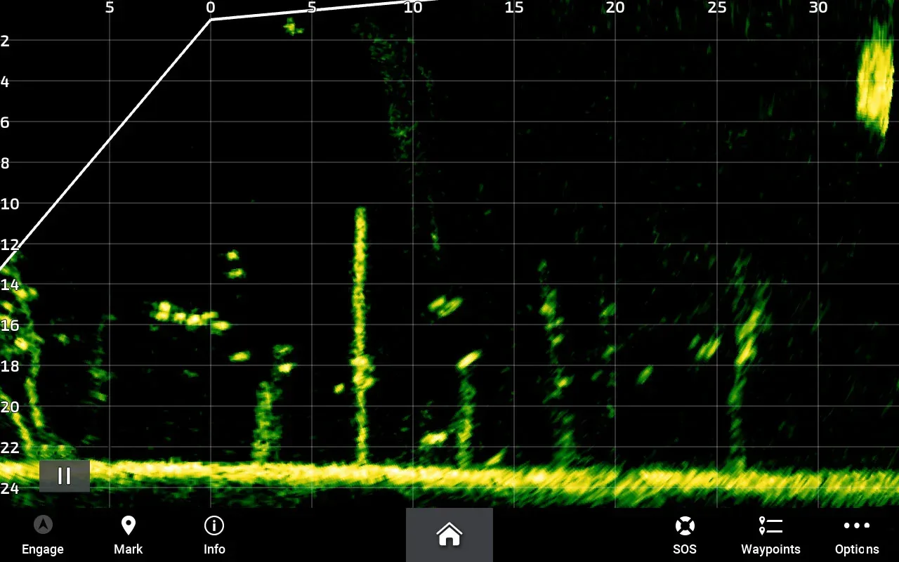 Garmin LiveScope Plus LVS34 anturi - Image 8