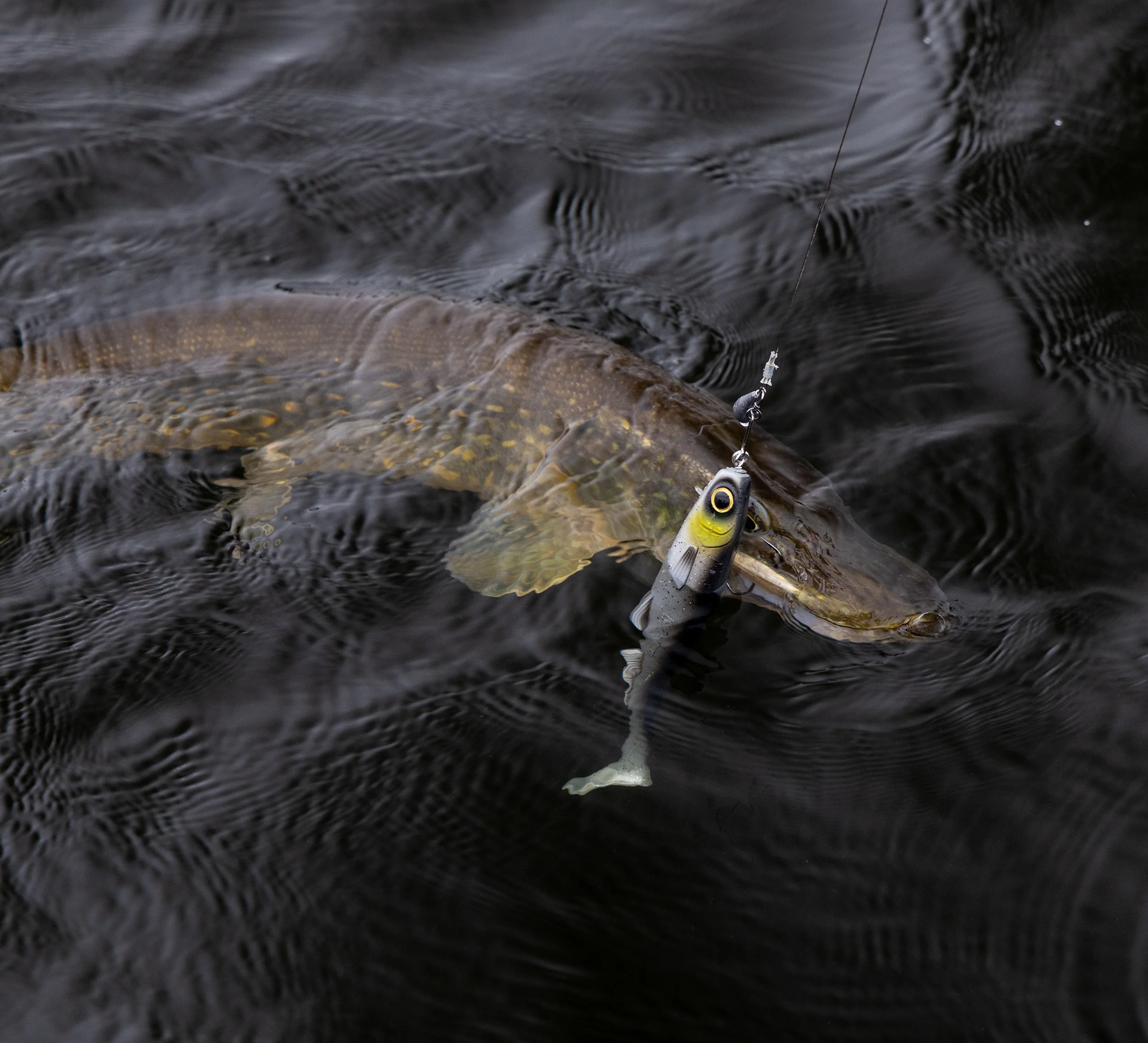 Kuore Bigfoot 22 cm jigi - Image 7