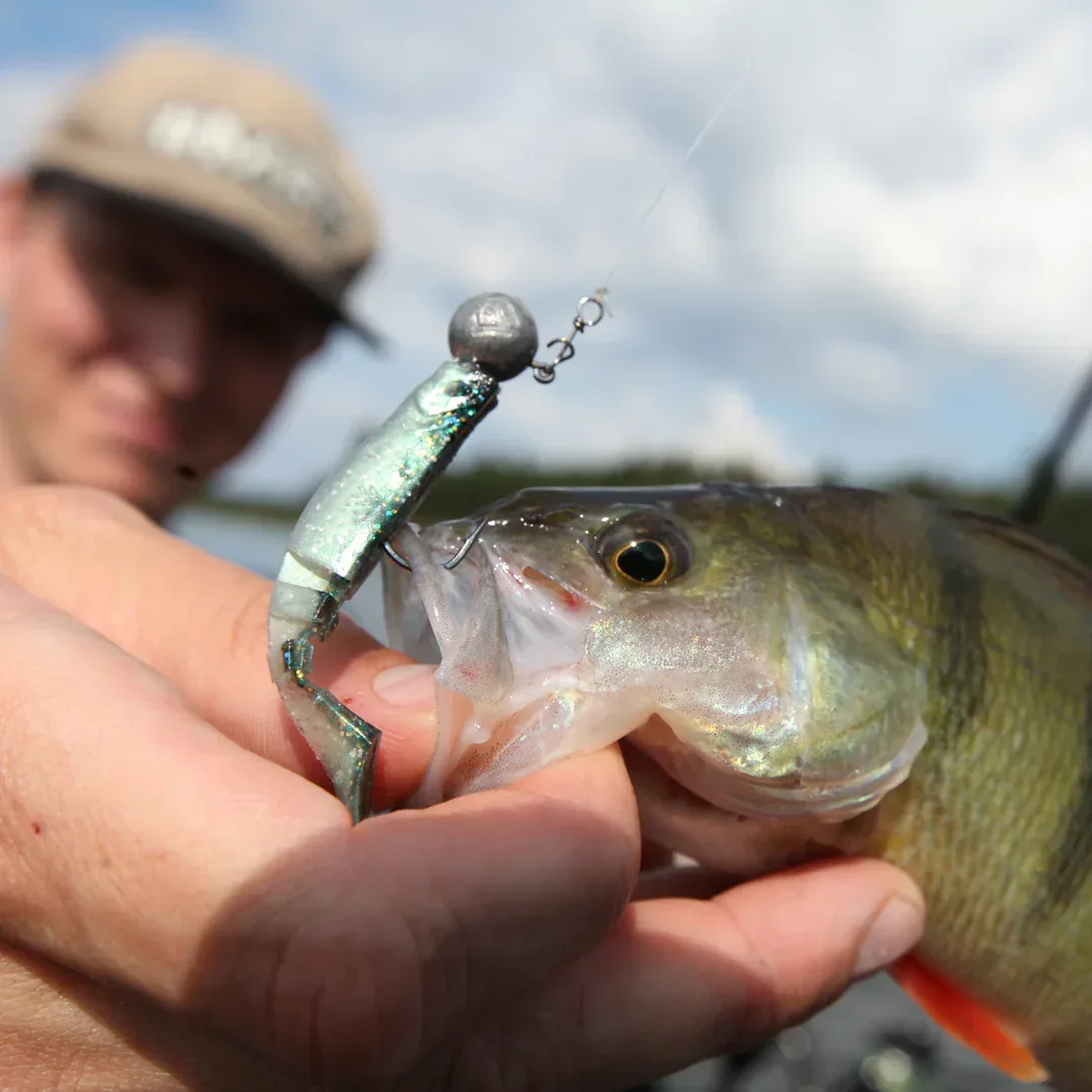 Mikado Fishunter 5 cm jigi 5 kpl/pkt - Image 2