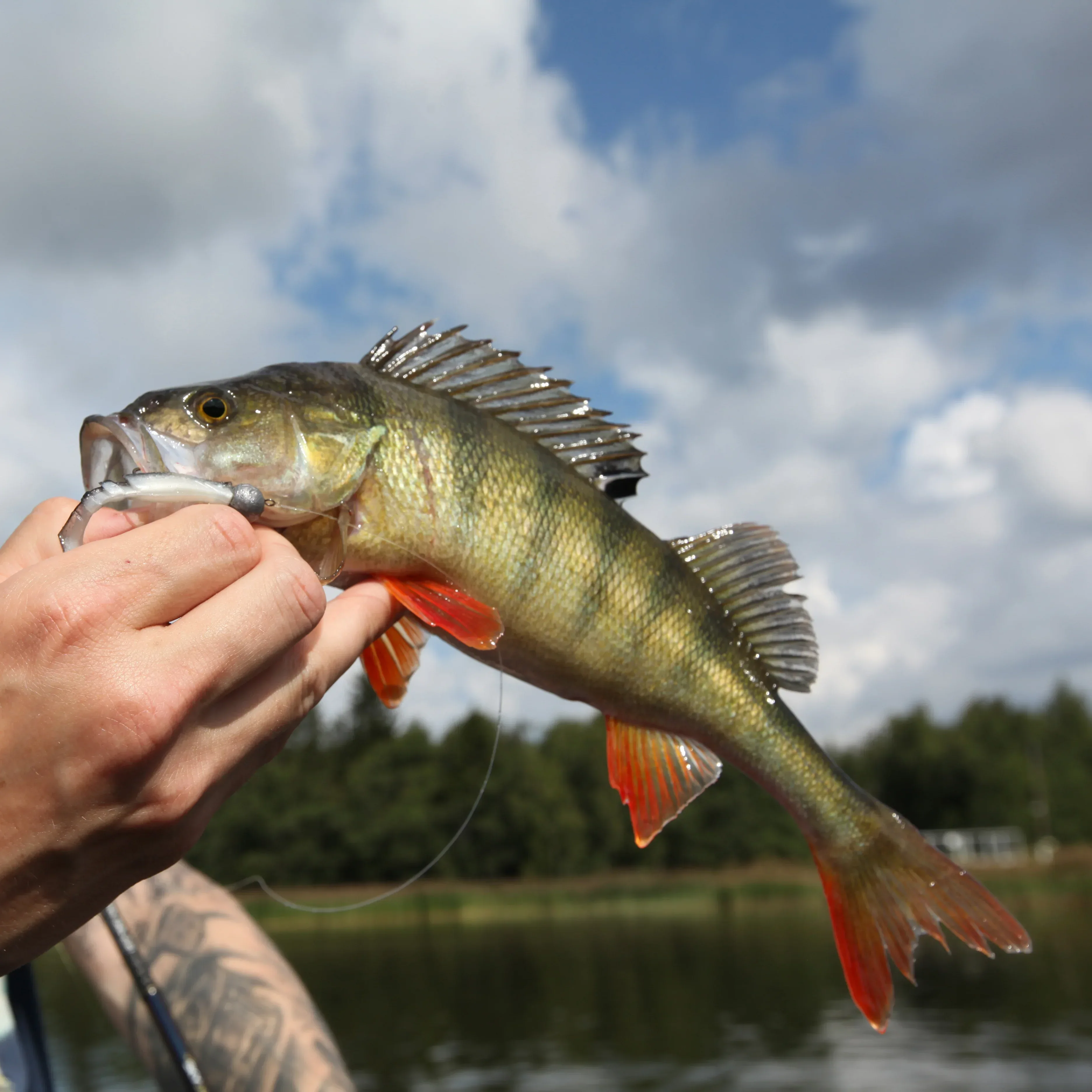 Mikado Fishunter 7 cm jigi 5 kpl/pkt - Image 3