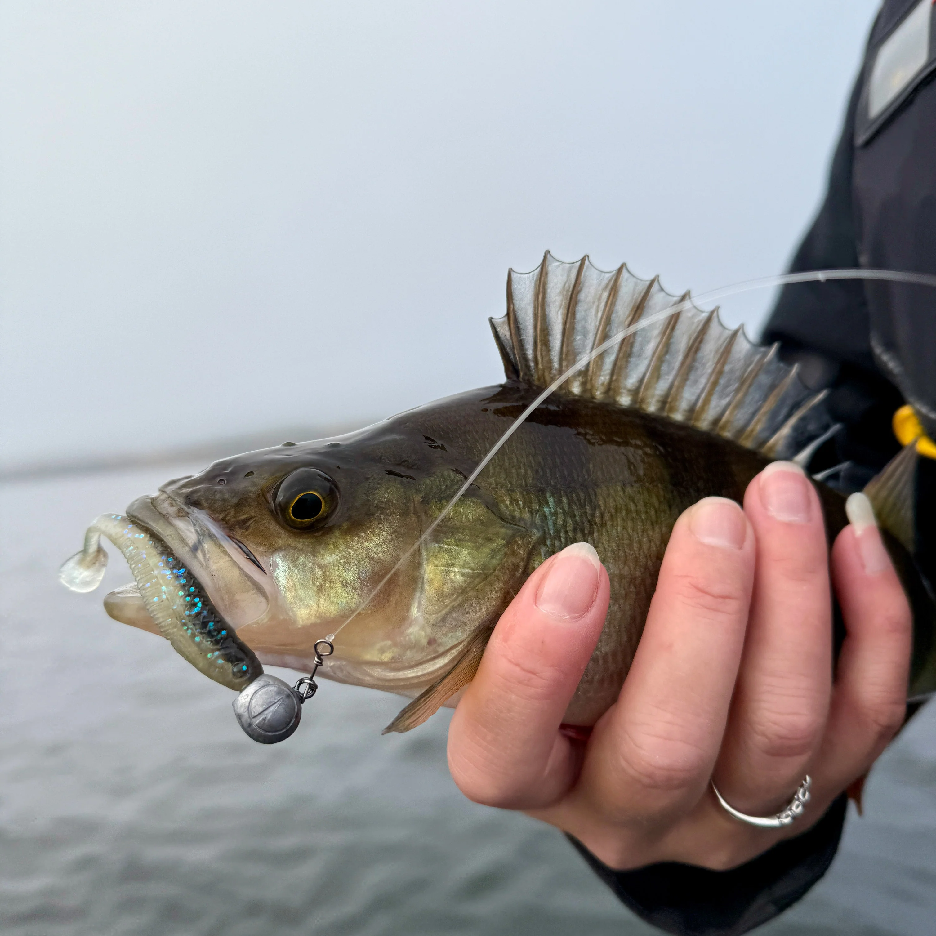 Rapala CrushCity The Jerk 18 cm jigi 3 kpl/pkt - Image 6