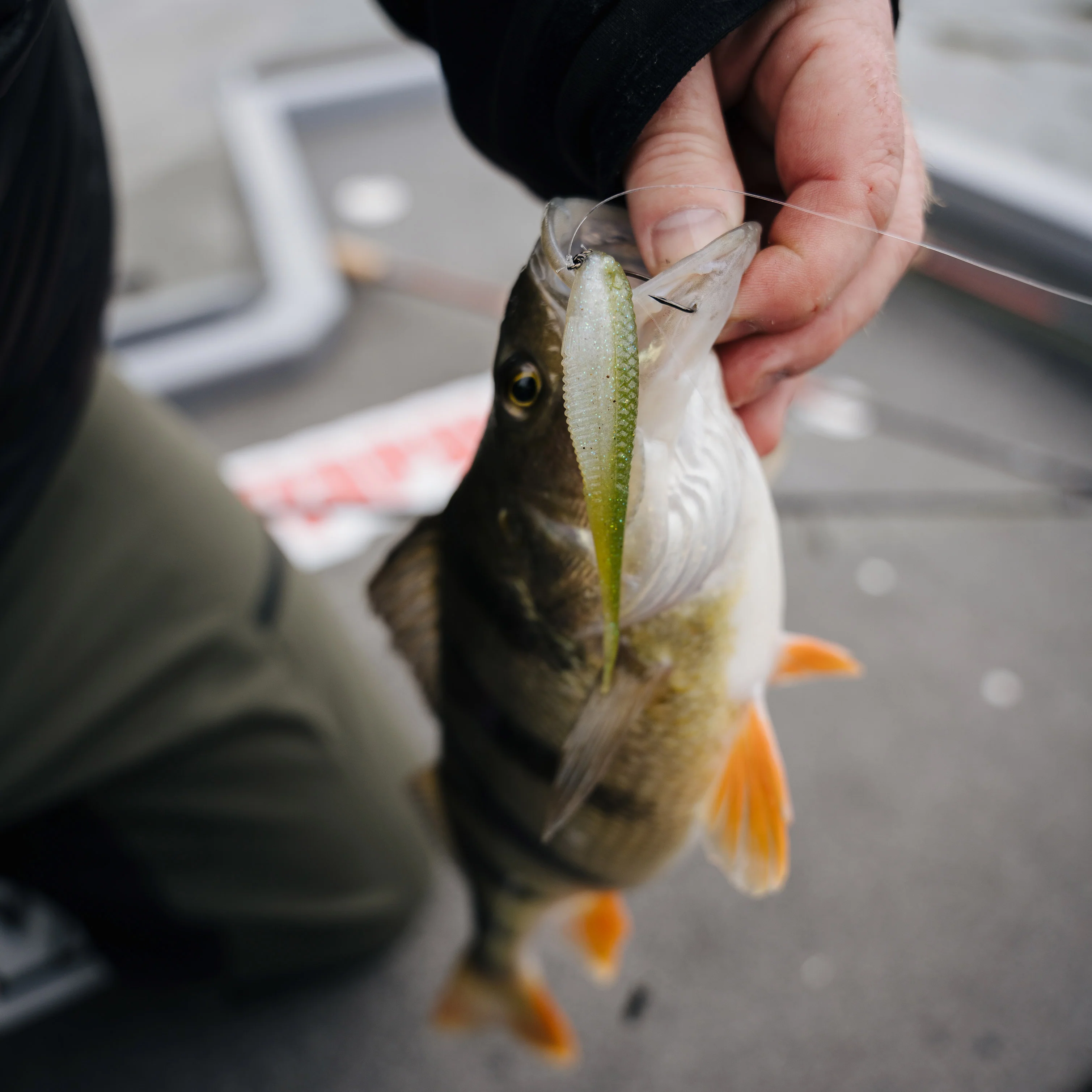 Rapala CrushCity The Jerk 18 cm jigi 3 kpl/pkt - Image 7