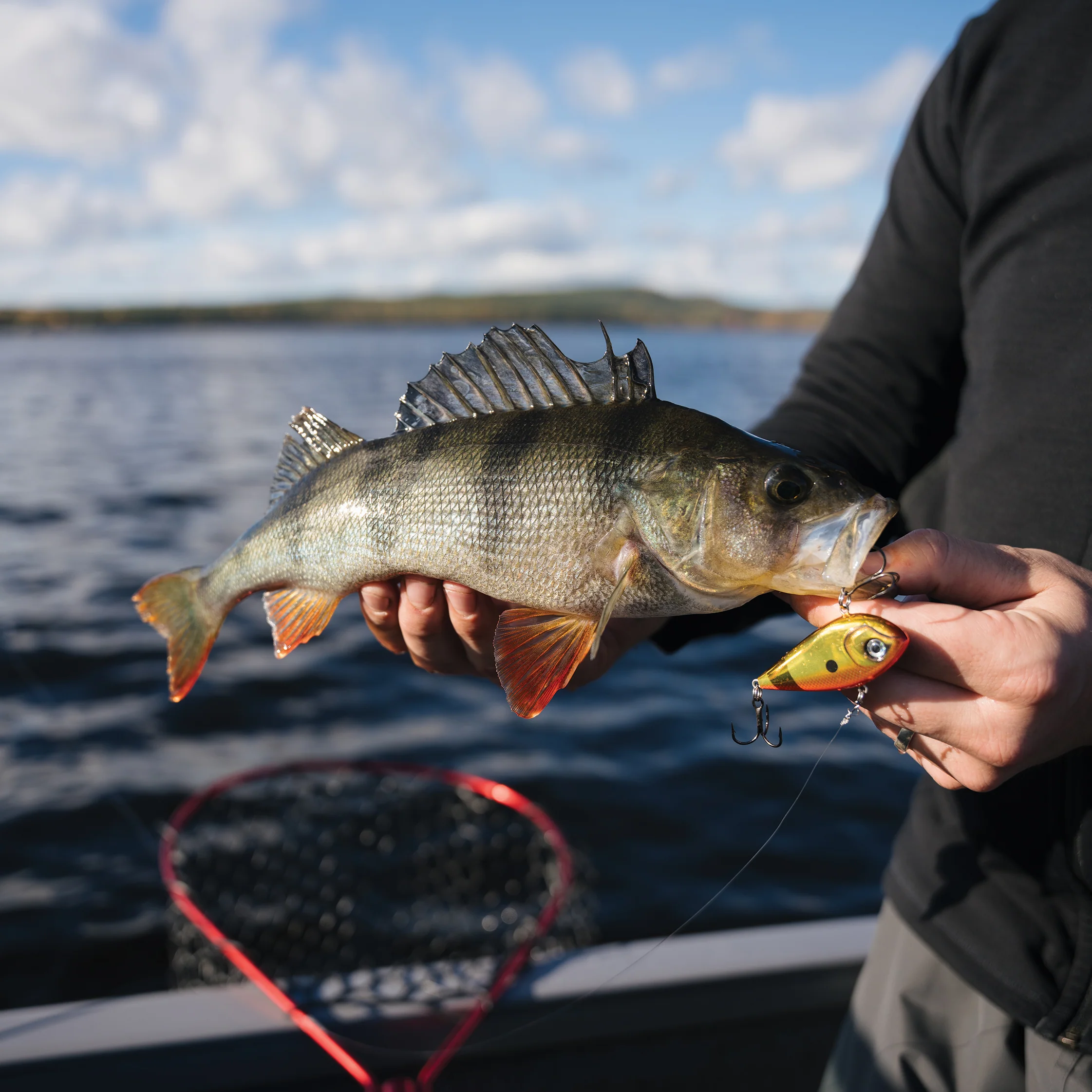 Rapala Snare 6 cm 16 g - Image 11