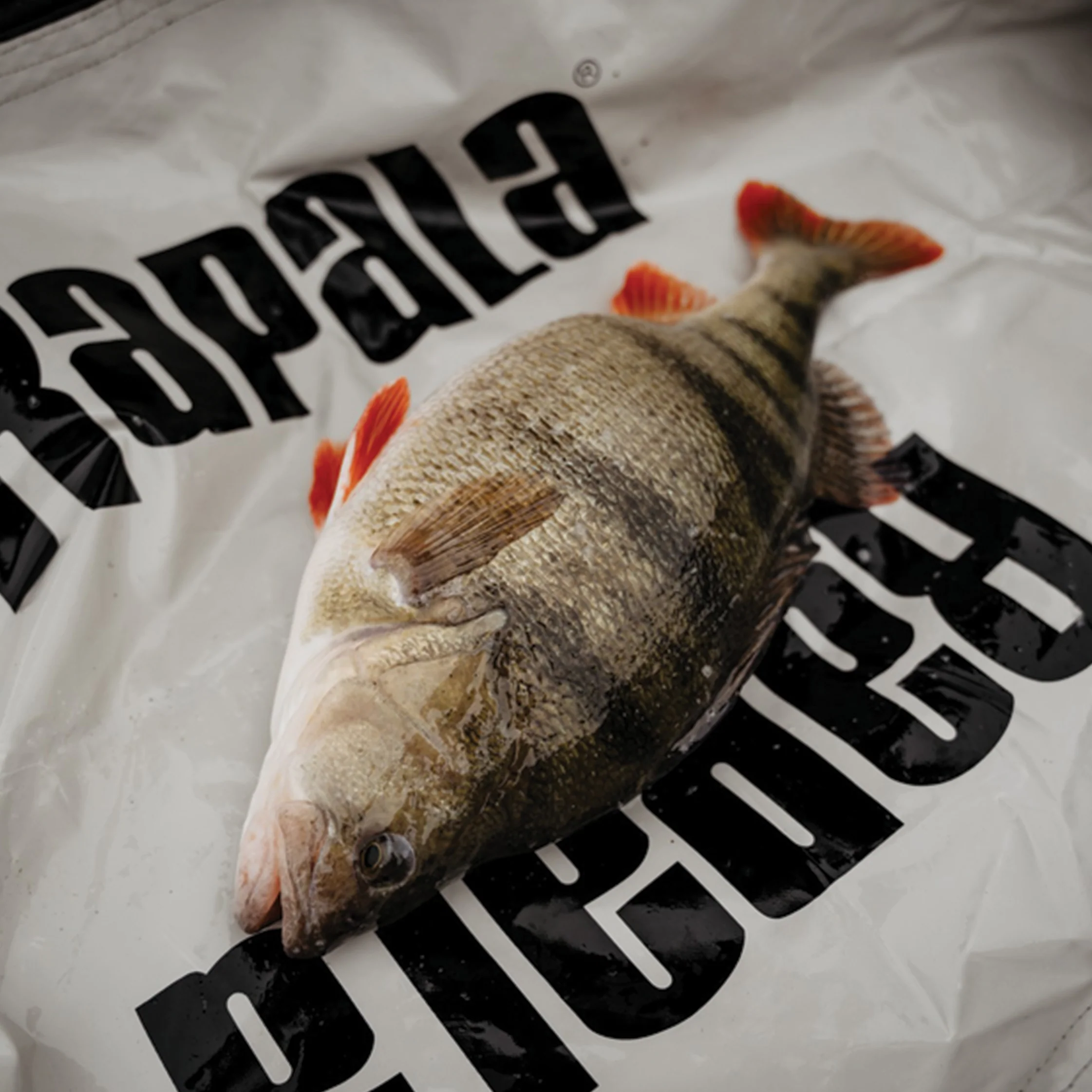 Rapala Weight & Release Mat punnituspussi - Image 3