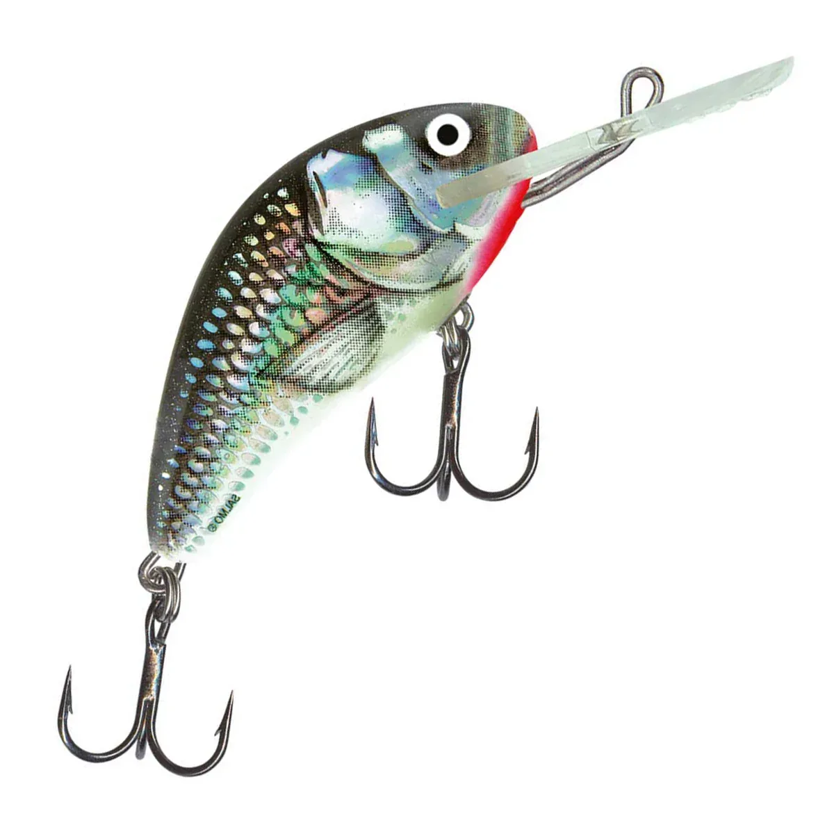 Salmo Hornet 4F 4 cm vaappu - Image 56