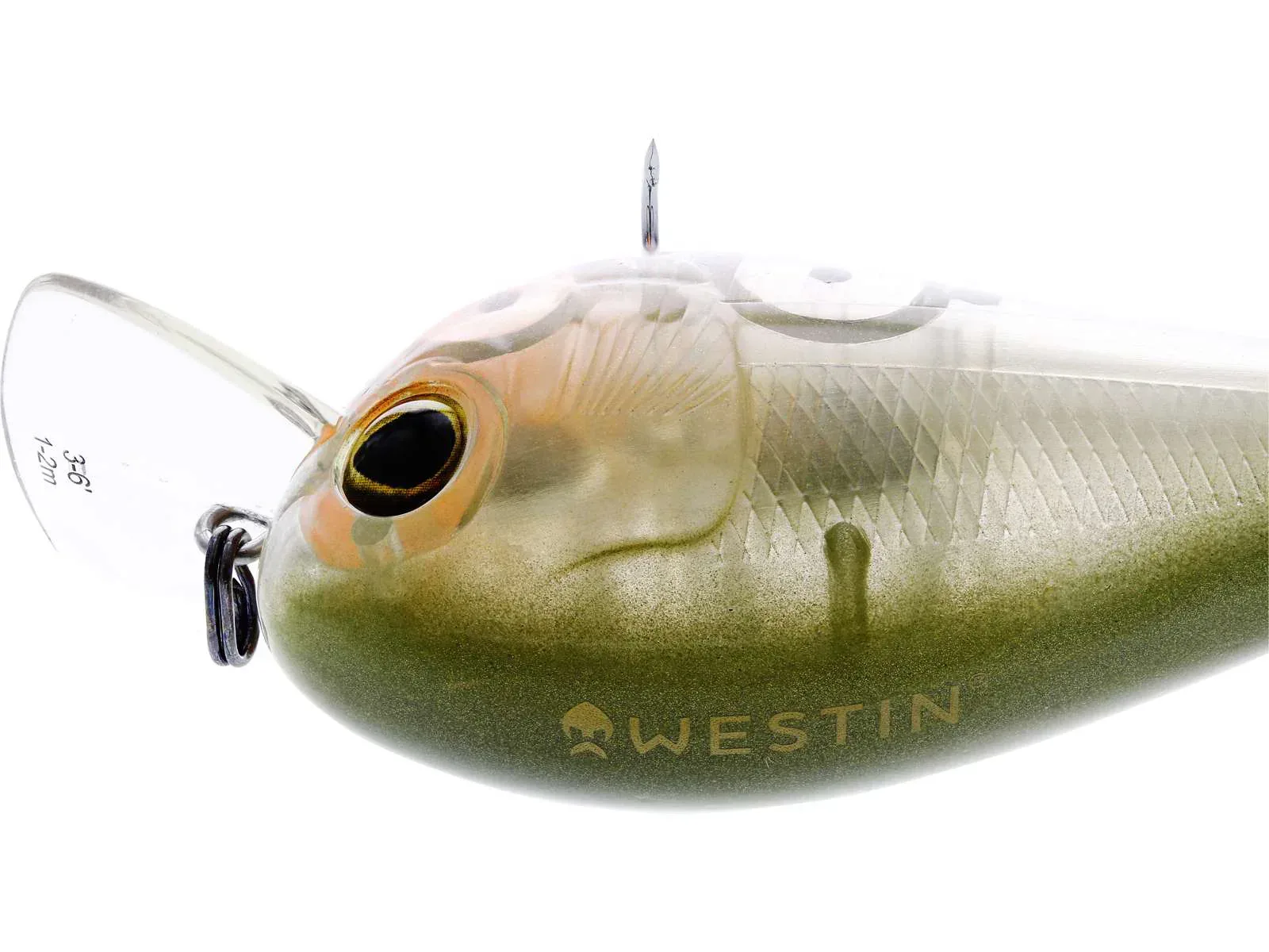 Westin Bassbite Squarebill 7 cm vaappu - Image 6
